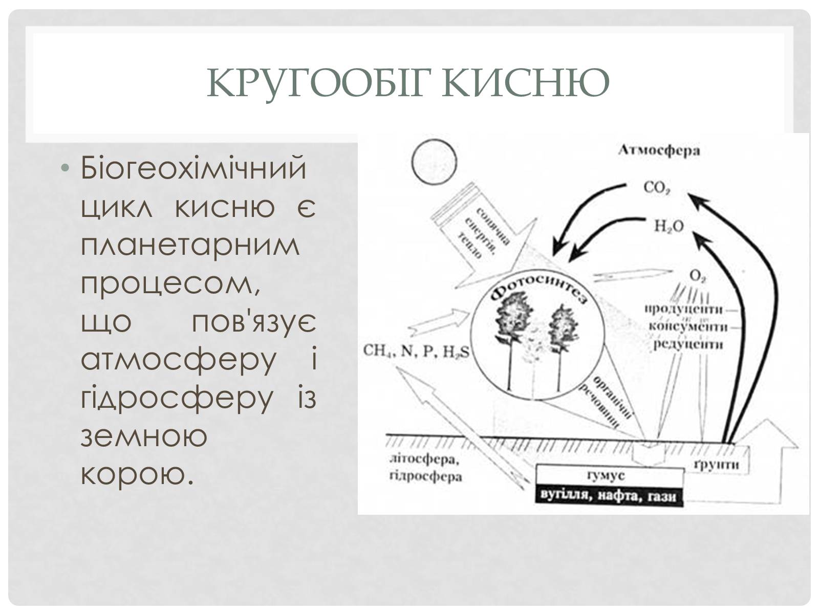 Презентація на тему «Кругообіг речовин і енергії» - Слайд #2 Презентація на тему «Кругообіг речовин і енергії» - Слайд #2