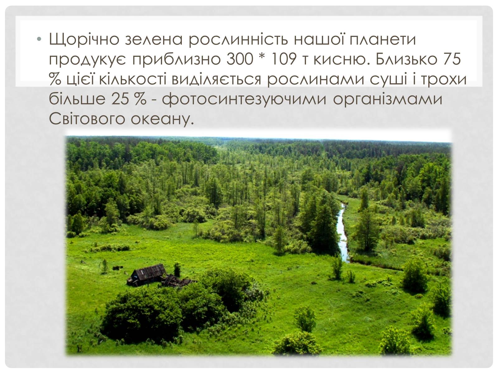 Презентація на тему «Кругообіг речовин і енергії» - Слайд #4 Презентація на тему «Кругообіг речовин і енергії» - Слайд #4