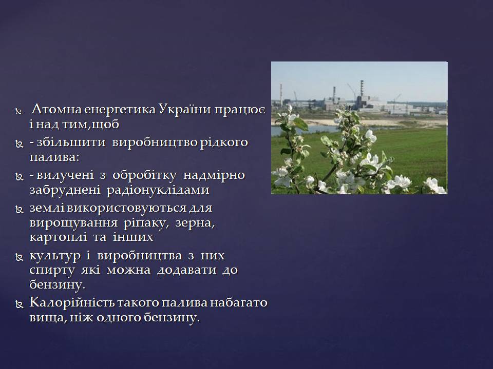 Презентація на тему «Ядерна енергетика в Україні» (варіант 4) - Слайд #13 Презентація на тему «Ядерна енергетика в Україні» (варіант 4) - Слайд #13