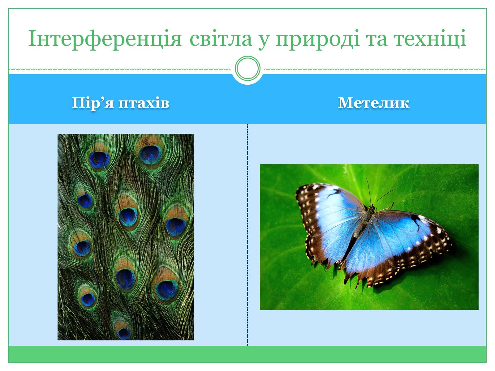 Презентація на тему «Застосування інтерференції» (варіант 2) - Слайд #10 Презентація на тему «Застосування інтерференції» (варіант 2) - Слайд #10