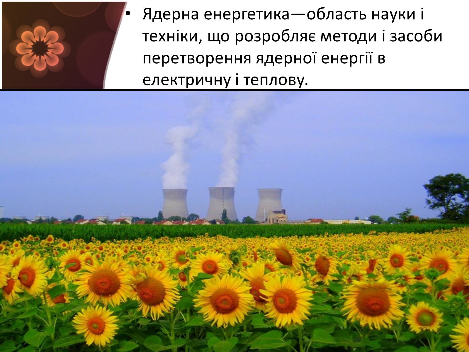 Презентація на тему «Ядерна енергетика і екологія» - Слайд #2 Презентація на тему «Ядерна енергетика і екологія» - Слайд #2