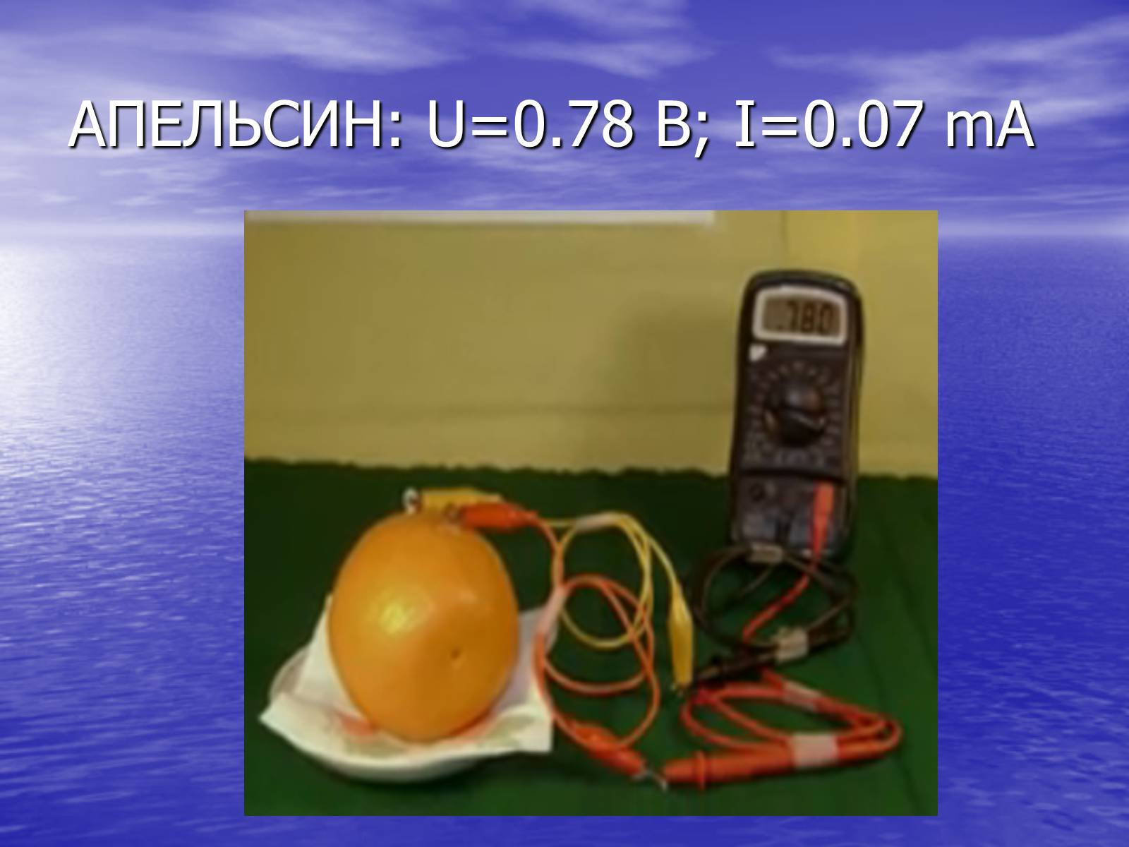 Презентація на тему «Струм у живій природі» - Слайд #5 Презентація на тему «Струм у живій природі» - Слайд #5