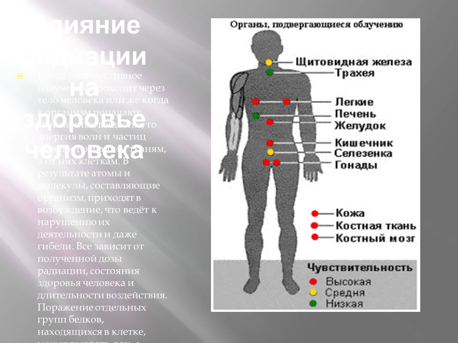 Презентація на тему «Ядерная Радиация» - Слайд #10 Презентація на тему «Ядерная Радиация» - Слайд #10