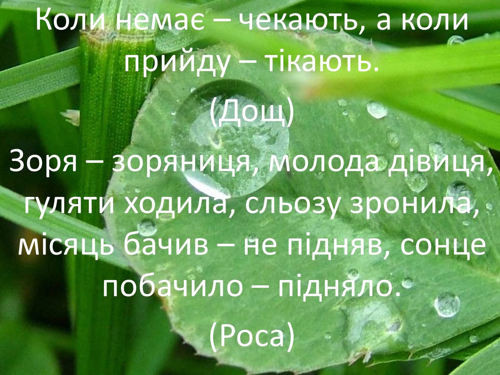 Презентація на тему «Фізика в прислів’ях, приказках, загадках» - Слайд #4 Презентація на тему «Фізика в прислів’ях, приказках, загадках» - Слайд #4