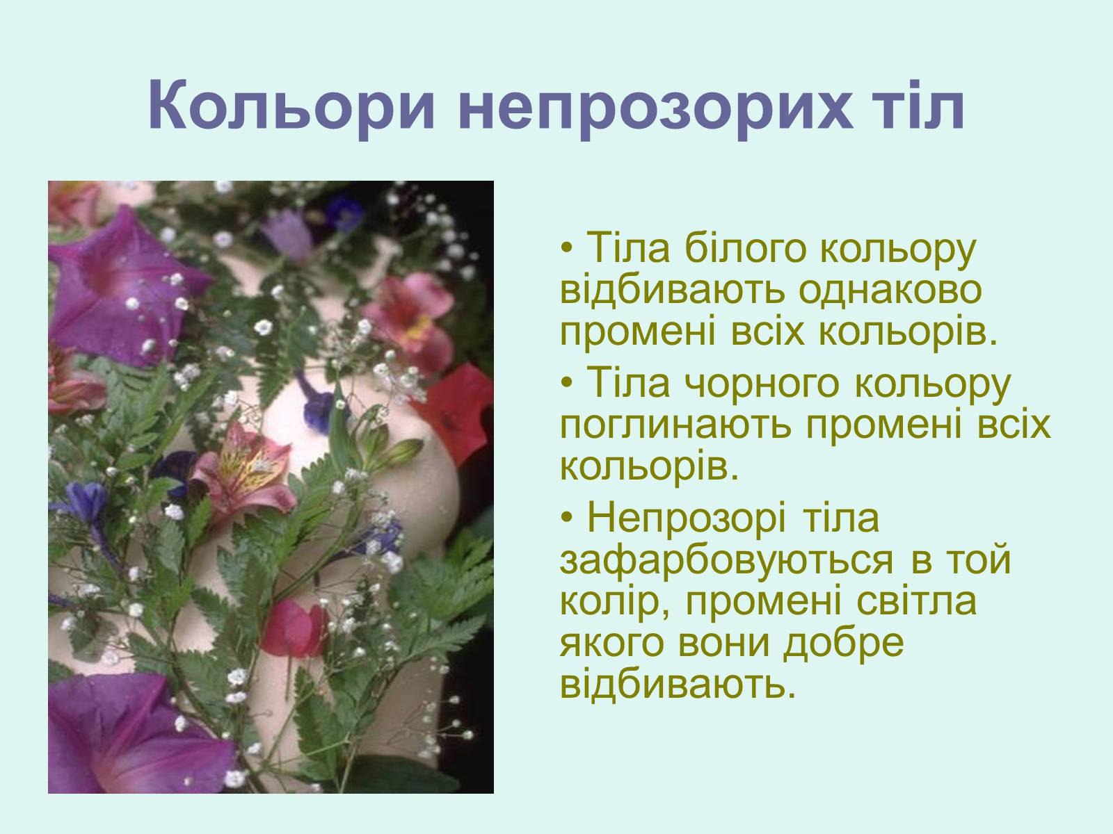 Презентація на тему «Хвильова оптика» - Слайд #5 Презентація на тему «Хвильова оптика» - Слайд #5