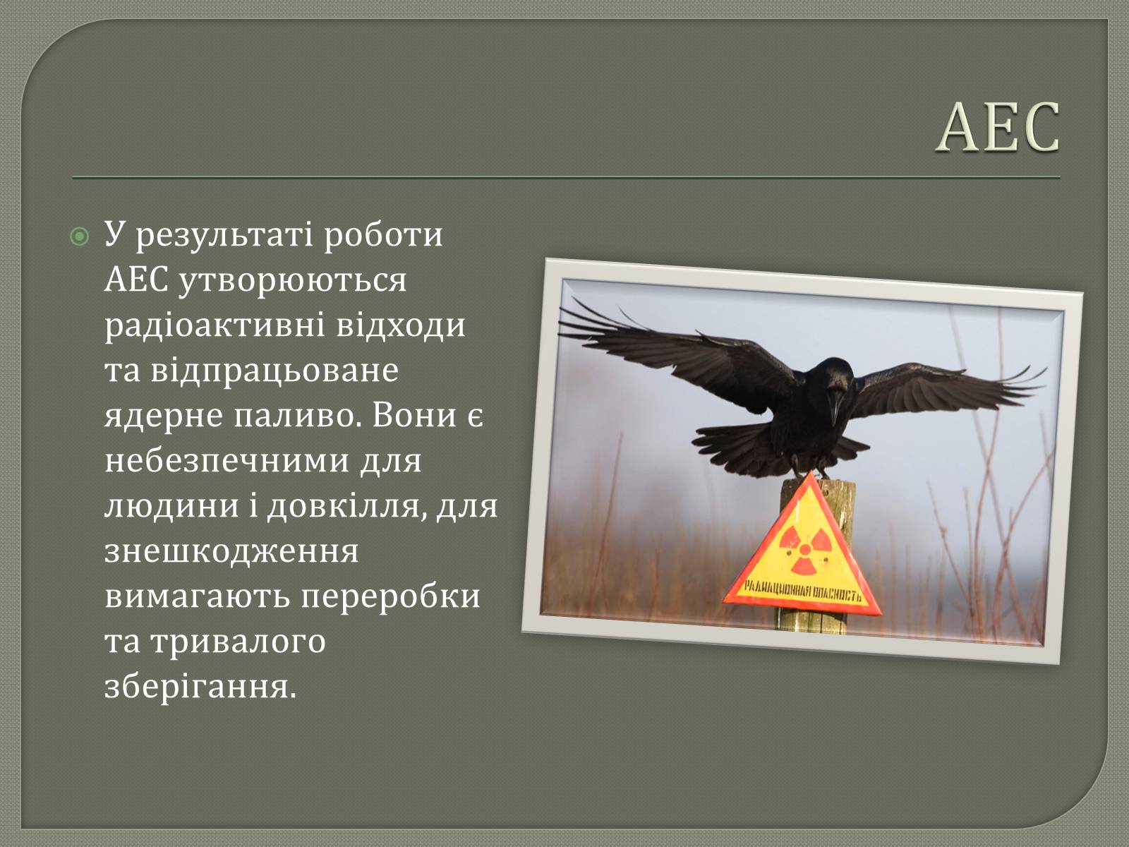 Презентація на тему «Виробництво електроенергії на АЕС» - Слайд #4 Презентація на тему «Виробництво електроенергії на АЕС» - Слайд #4