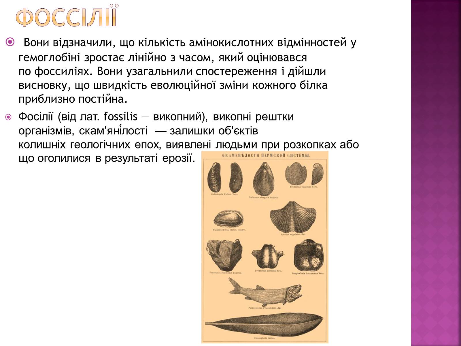 Презентація на тему «Молекулярний годинник» - Слайд #6 Презентація на тему «Молекулярний годинник» - Слайд #6