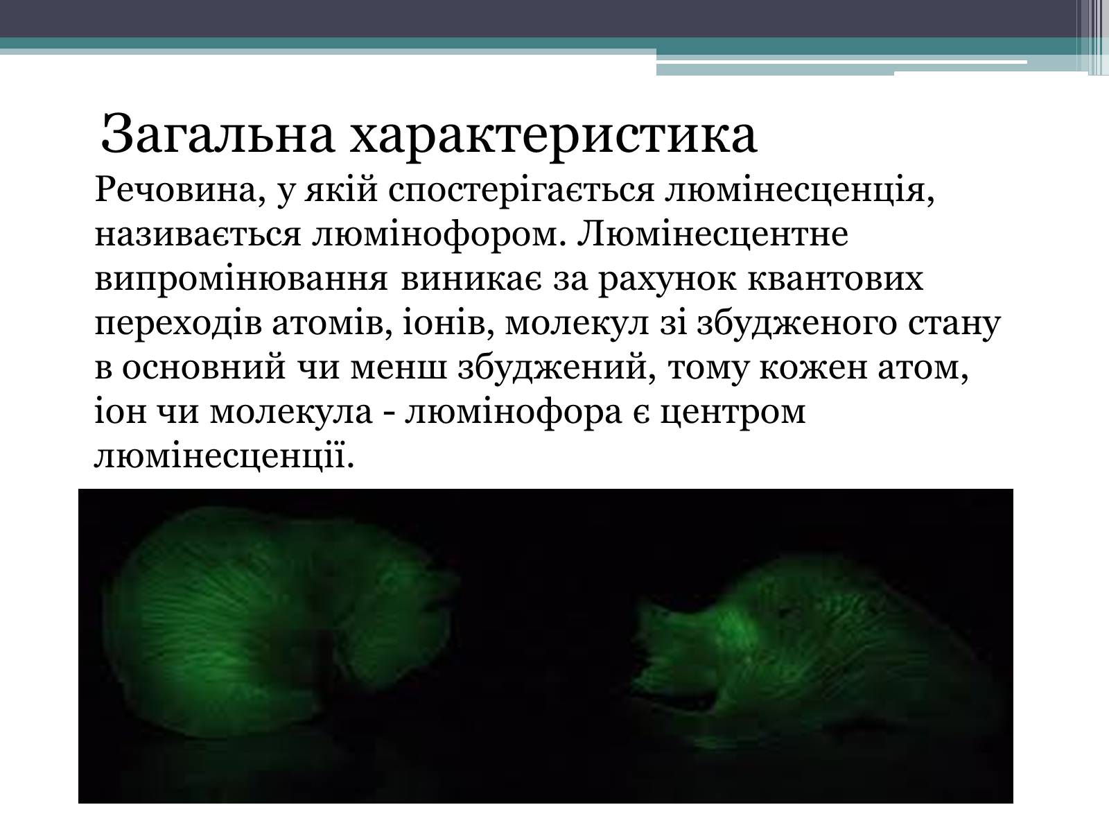 Презентація на тему «Люмінесценція» (варіант 3) - Слайд #4 Презентація на тему «Люмінесценція» (варіант 3) - Слайд #4