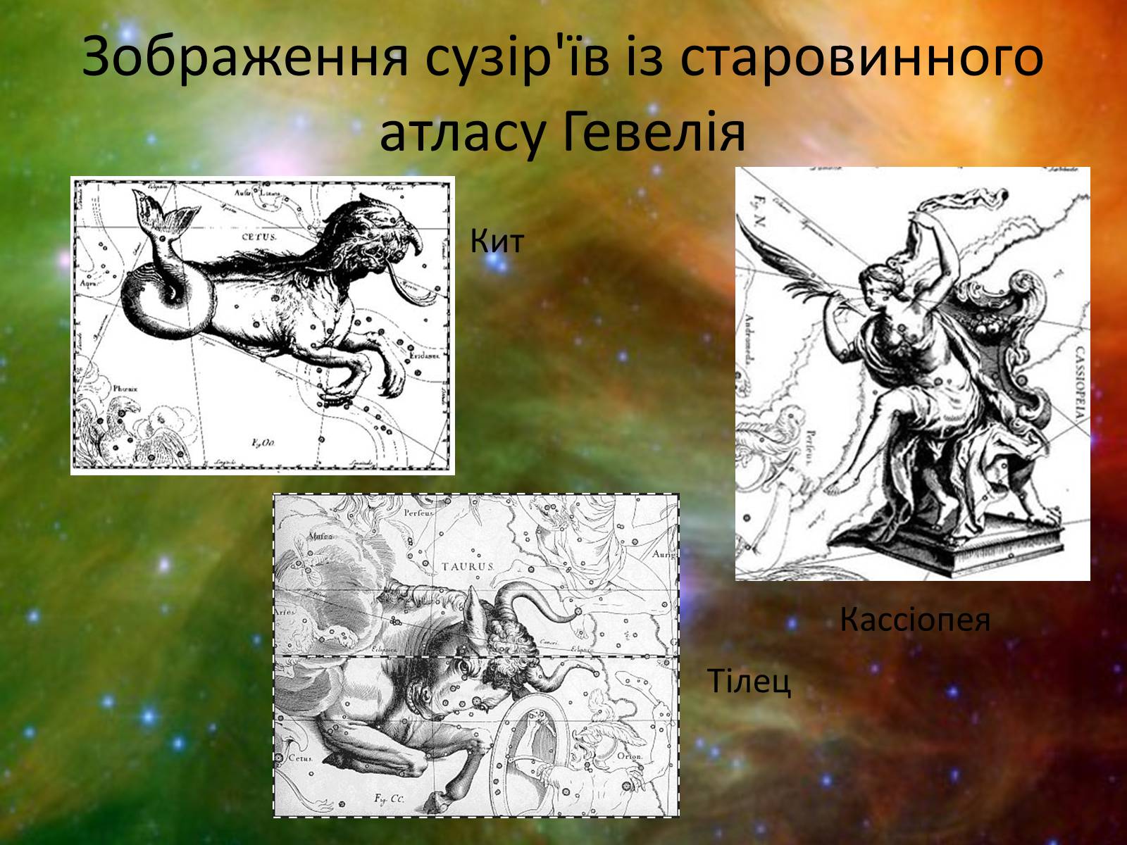 Презентація на тему «Зоряне небо. Сузір’я» - Слайд #6 Презентація на тему «Зоряне небо. Сузір’я» - Слайд #6