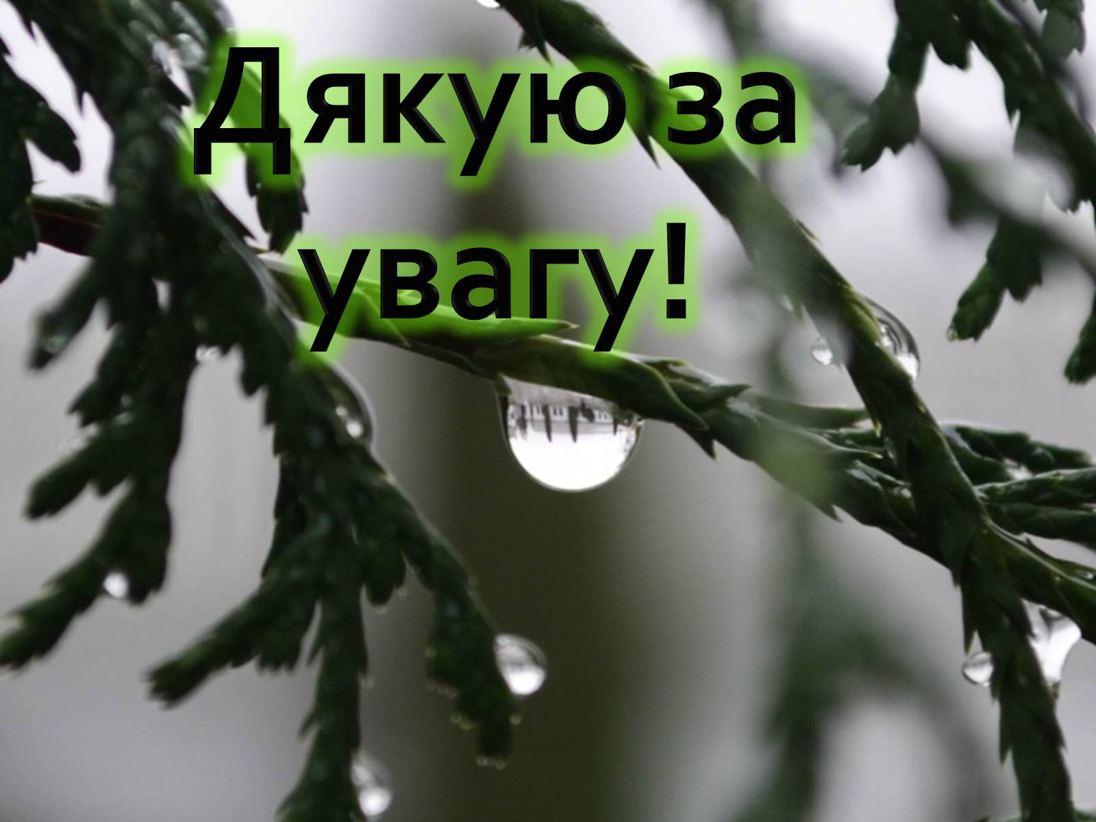 Презентація на тему «Лінзи» (варіант 3) - Слайд #10 Презентація на тему «Лінзи» (варіант 3) - Слайд #10