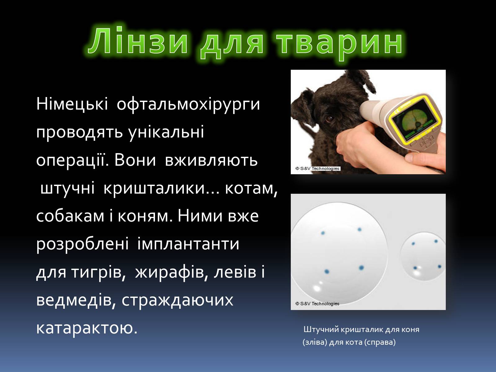 Презентація на тему «Лінзи» (варіант 3) - Слайд #6 Презентація на тему «Лінзи» (варіант 3) - Слайд #6