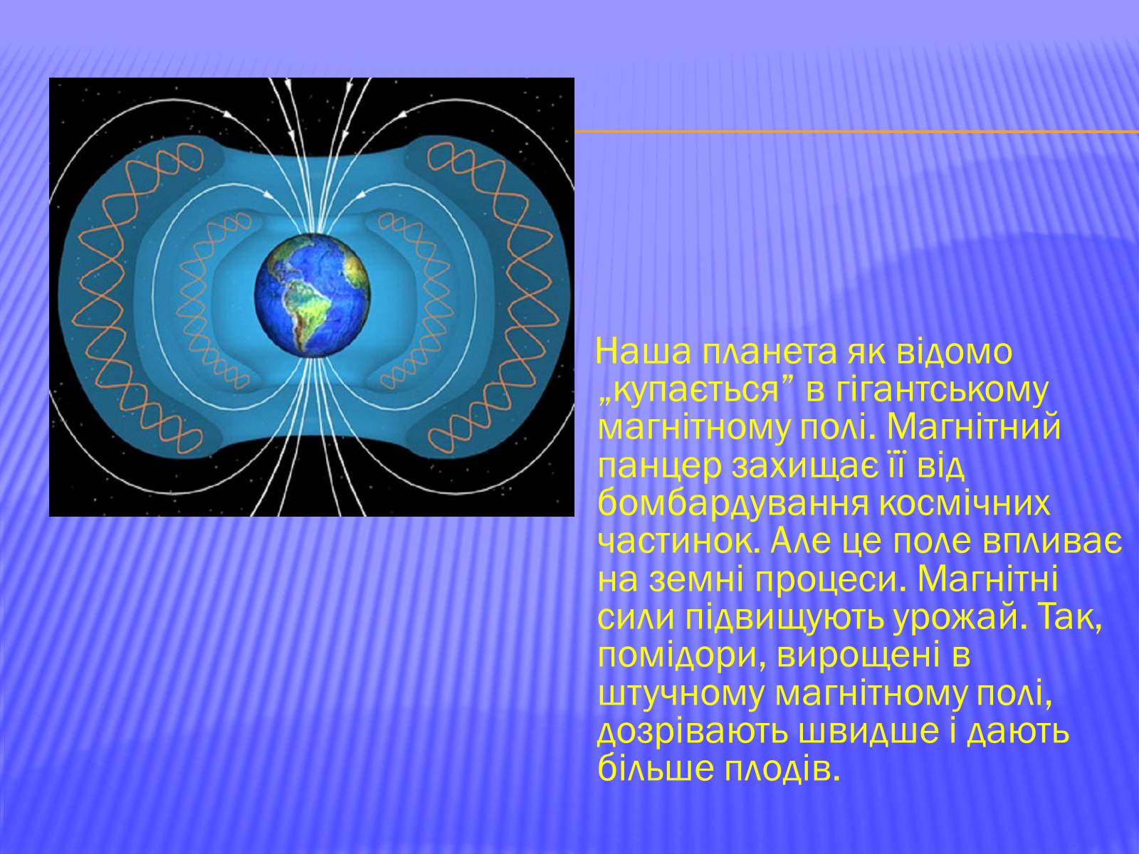 Презентація на тему «Вплив магнітного поля на середовище» - Слайд #4 Презентація на тему «Вплив магнітного поля на середовище» - Слайд #4