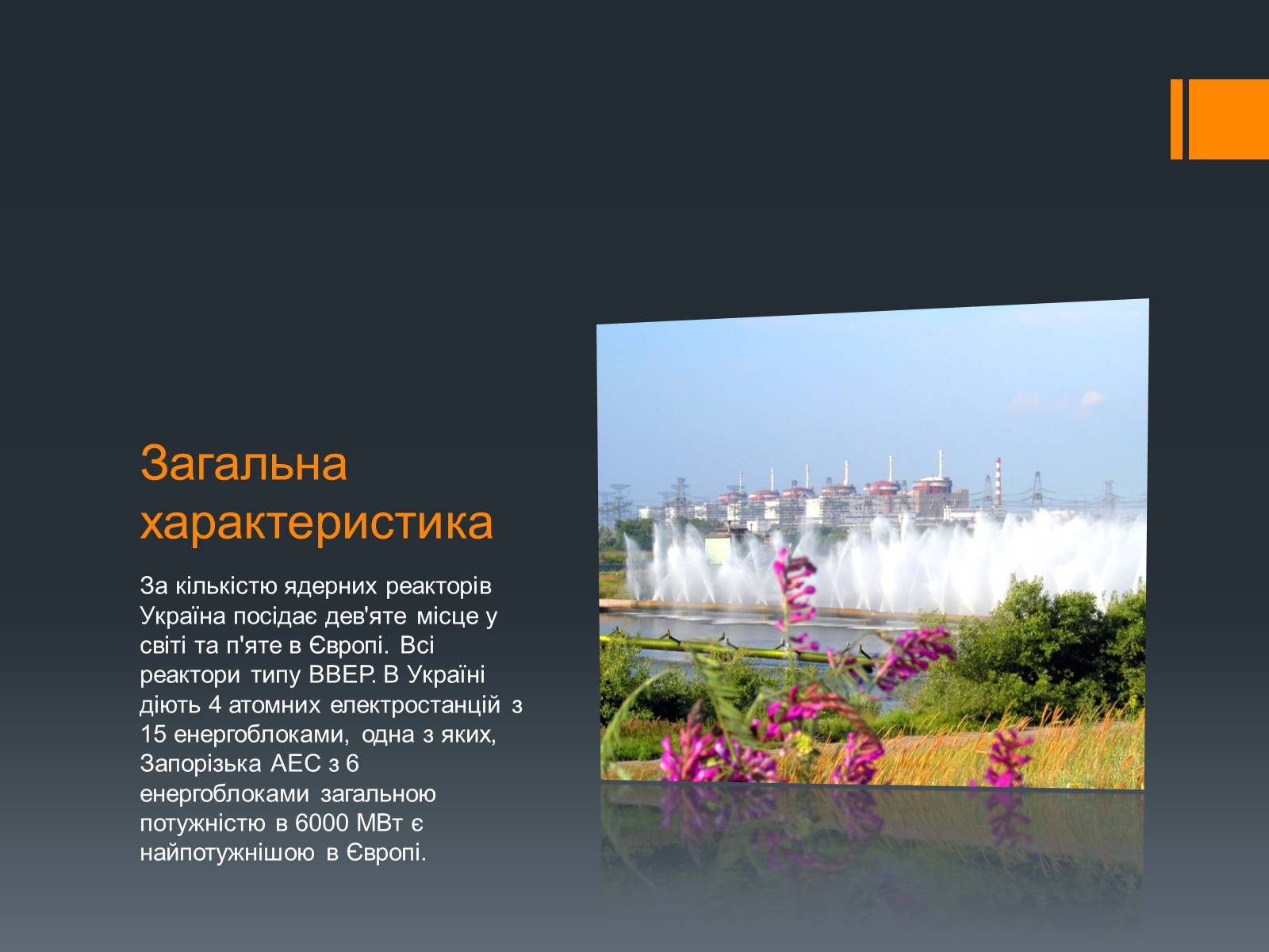 Презентація на тему «Ядерна Енергетика» (варіант 4) - Слайд #5 Презентація на тему «Ядерна Енергетика» (варіант 4) - Слайд #5