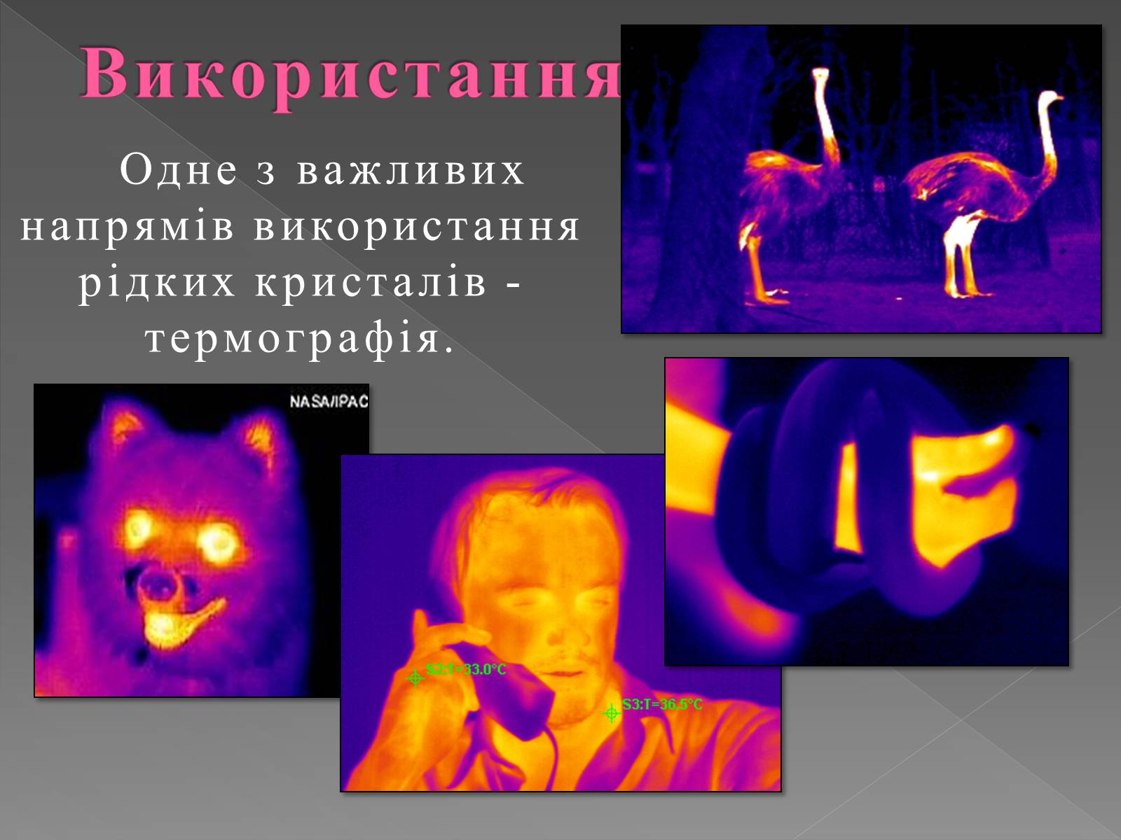 Презентація на тему «Рідкі кристали та їх властивості» (варіант 2) - Слайд #13 Презентація на тему «Рідкі кристали та їх властивості» (варіант 2) - Слайд #13