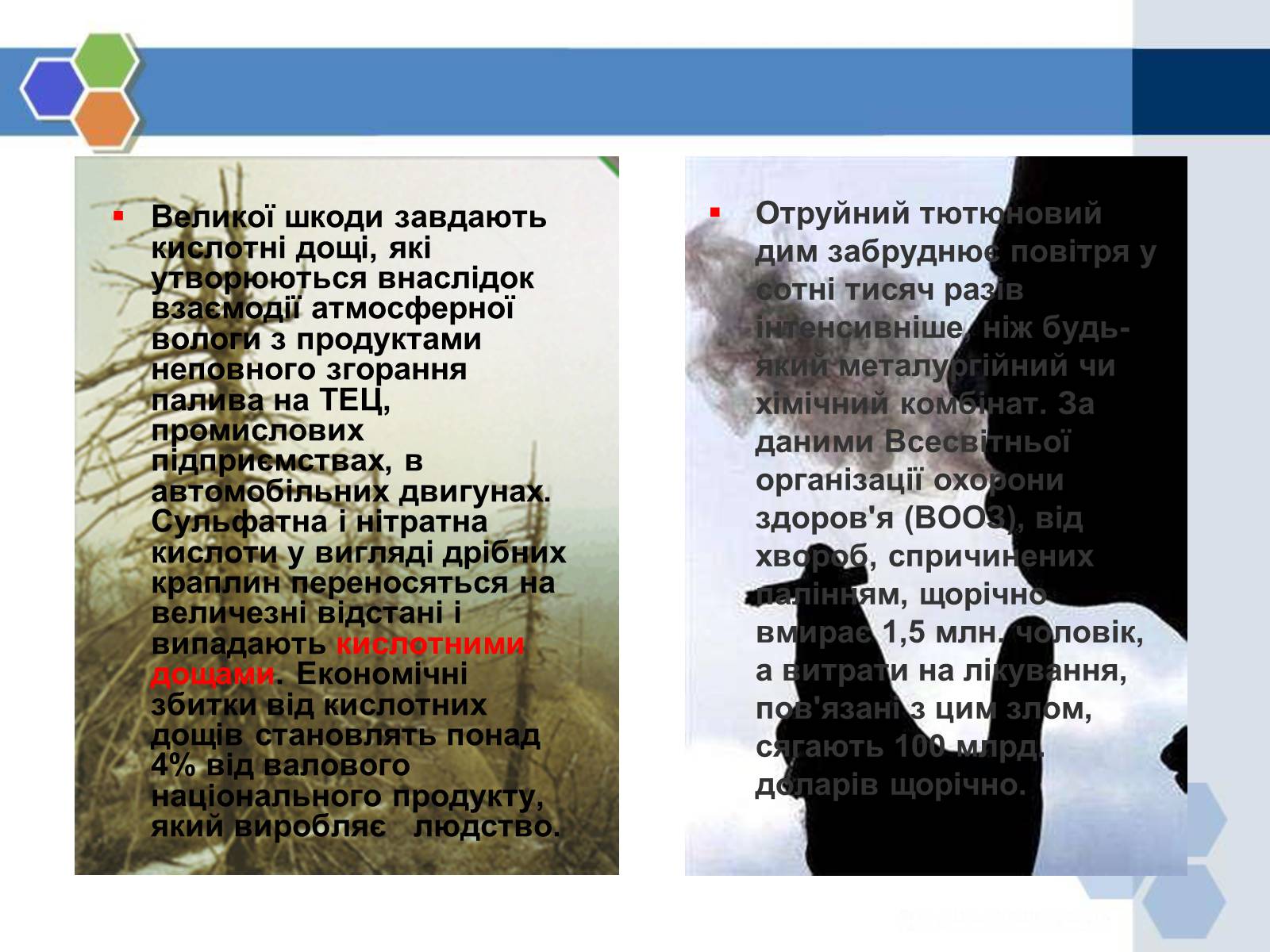 Презентація на тему «Вплив хімічних сполук на довкілля» - Слайд #5 Презентація на тему «Вплив хімічних сполук на довкілля» - Слайд #5