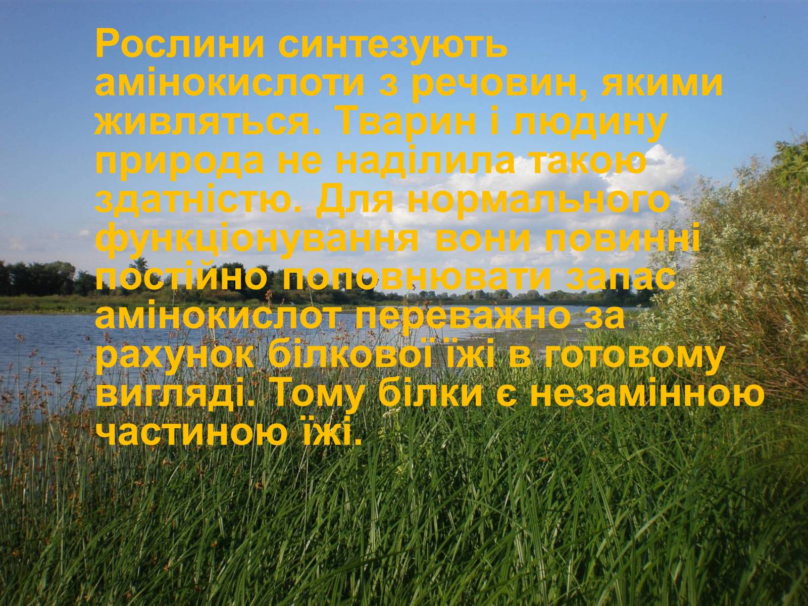 Презентація на тему «Продукти харчування» - Слайд #3 Презентація на тему «Продукти харчування» - Слайд #3