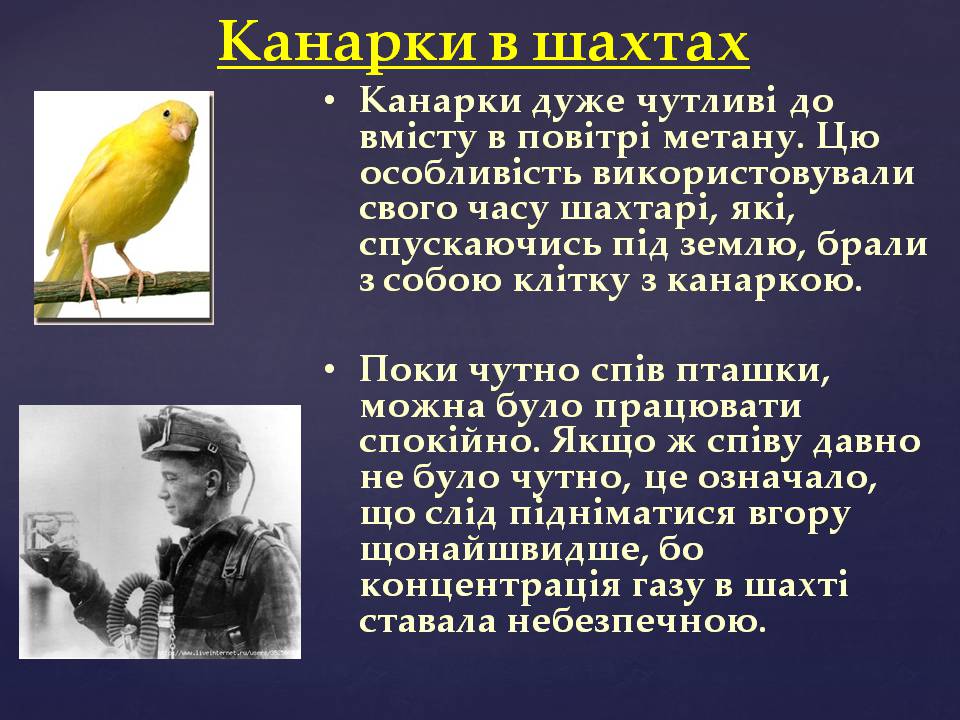 Презентація на тему «Природний газ» (варіант 12) - Слайд #13 Презентація на тему «Природний газ» (варіант 12) - Слайд #13
