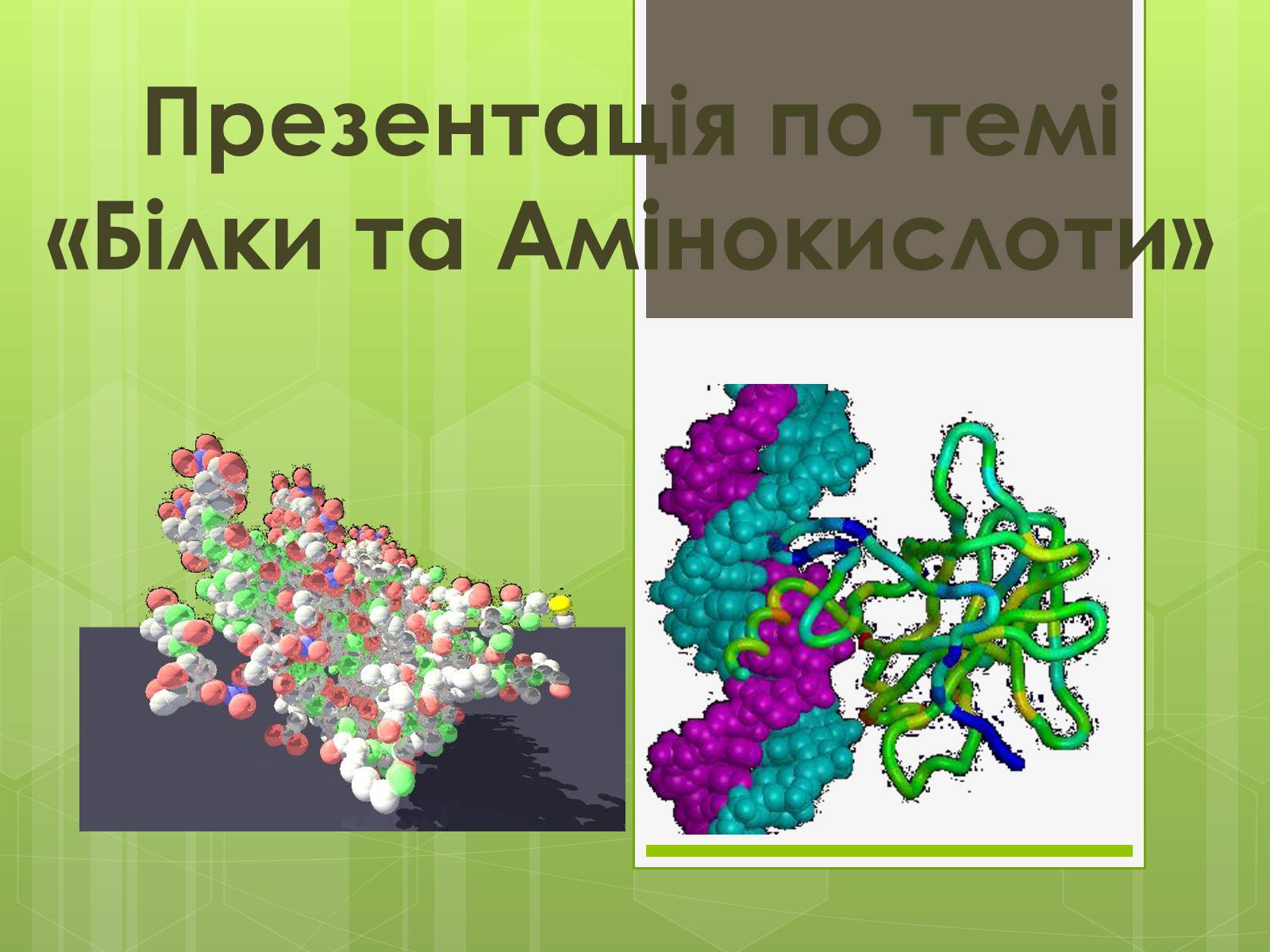 Презентація на тему «Білки та Амінокислоти» - Слайд #1 Презентація на тему «Білки та Амінокислоти» - Слайд #1
