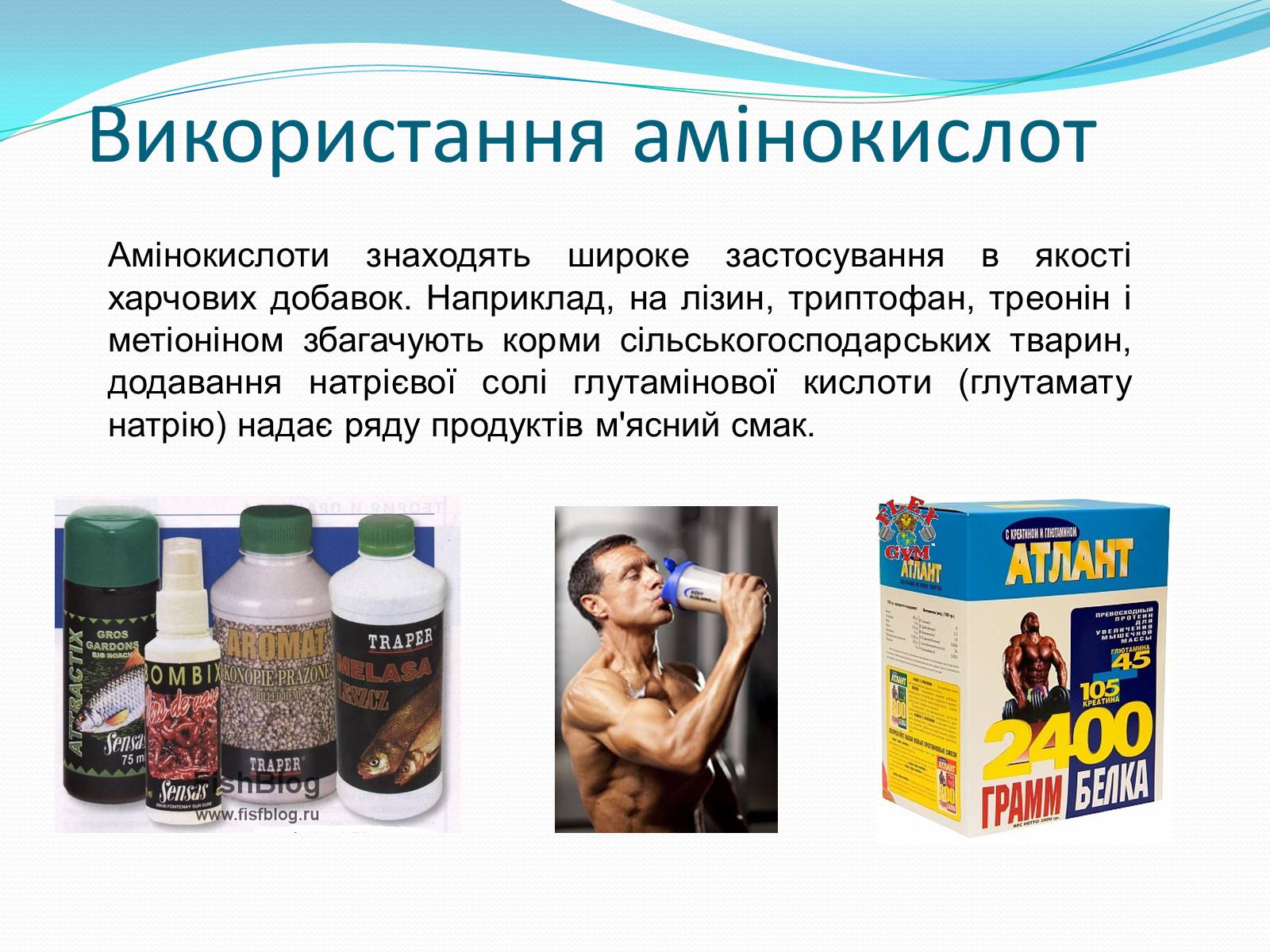 Презентація на тему «Білки та Амінокислоти» - Слайд #16 Презентація на тему «Білки та Амінокислоти» - Слайд #16
