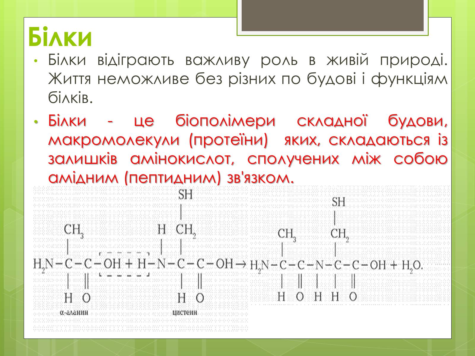 Презентація на тему «Білки та Амінокислоти» - Слайд #2 Презентація на тему «Білки та Амінокислоти» - Слайд #2