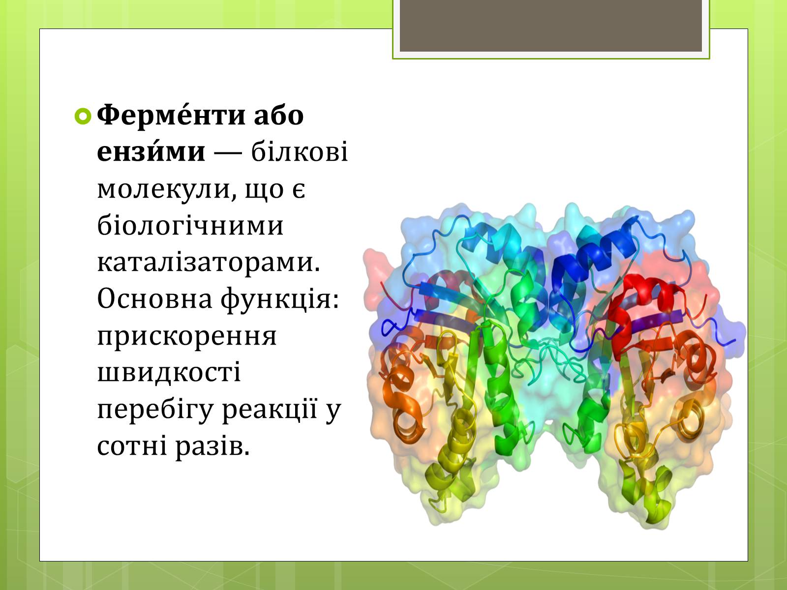 Презентація на тему «Ферменти» - Слайд #2 Презентація на тему «Ферменти» - Слайд #2