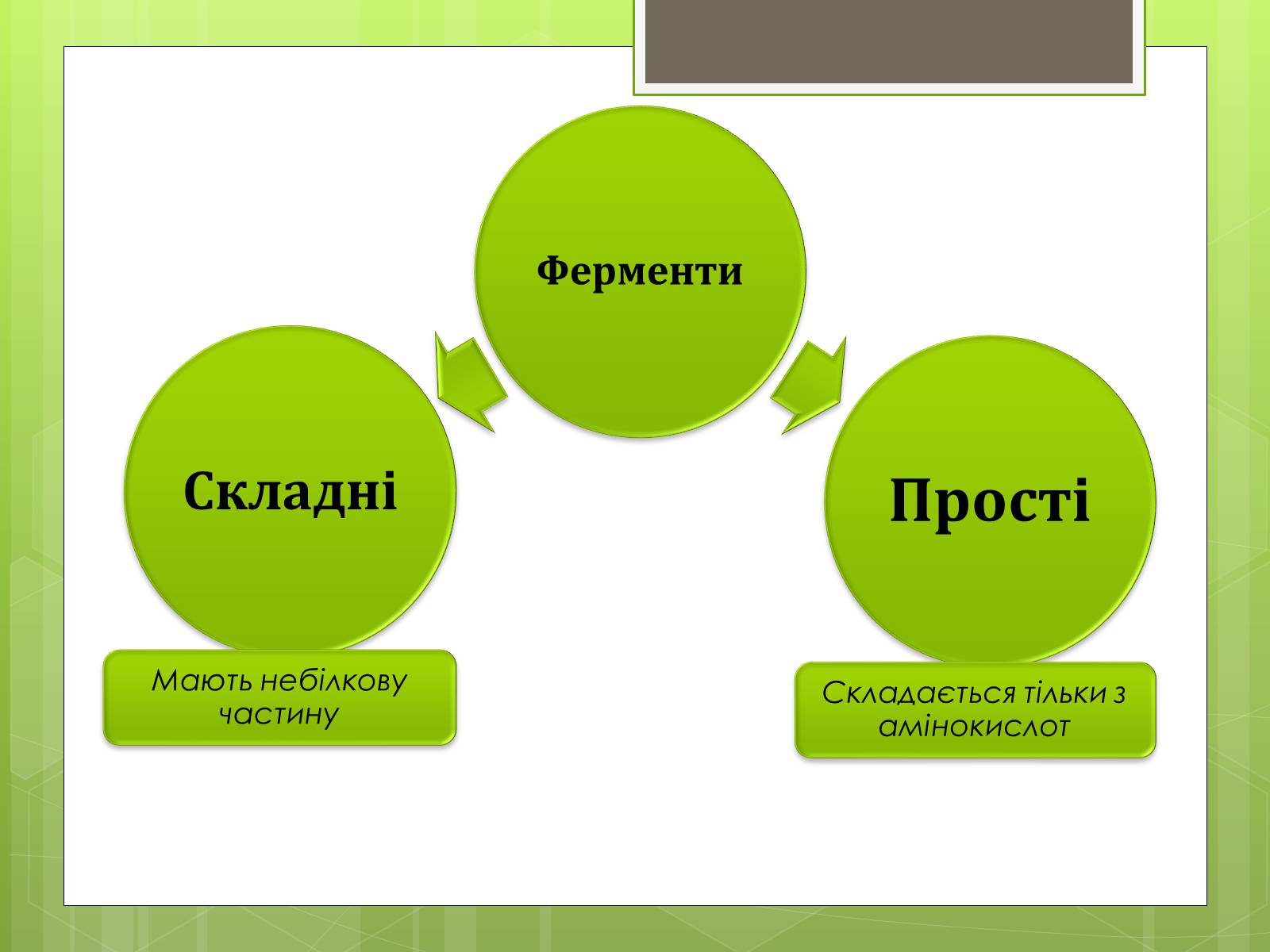 Презентація на тему «Ферменти» - Слайд #7 Презентація на тему «Ферменти» - Слайд #7