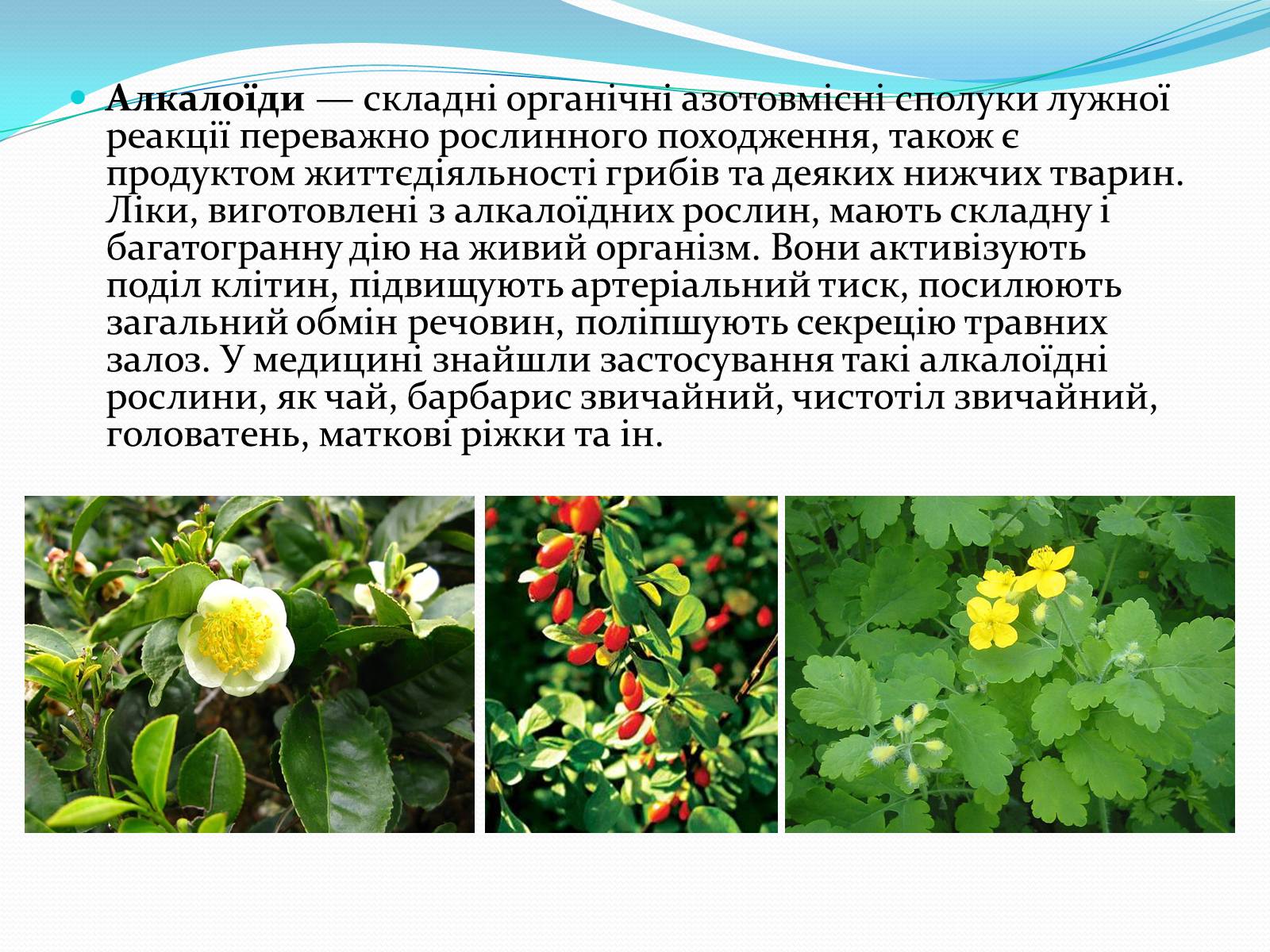 Презентація на тему «Хімія і медицина» (варіант 1) - Слайд #11