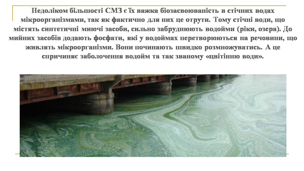 Презентація на тему «Вплив синтетичних миючих засобів на довкілля» - Слайд #5 Презентація на тему «Вплив синтетичних миючих засобів на довкілля» - Слайд #5