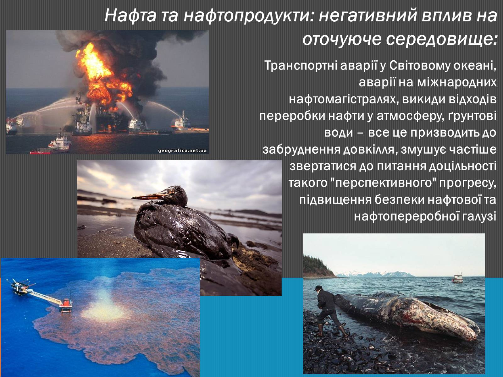 Презентація на тему «Нафта» (варіант 6) - Слайд #22 Презентація на тему «Нафта» (варіант 6) - Слайд #22