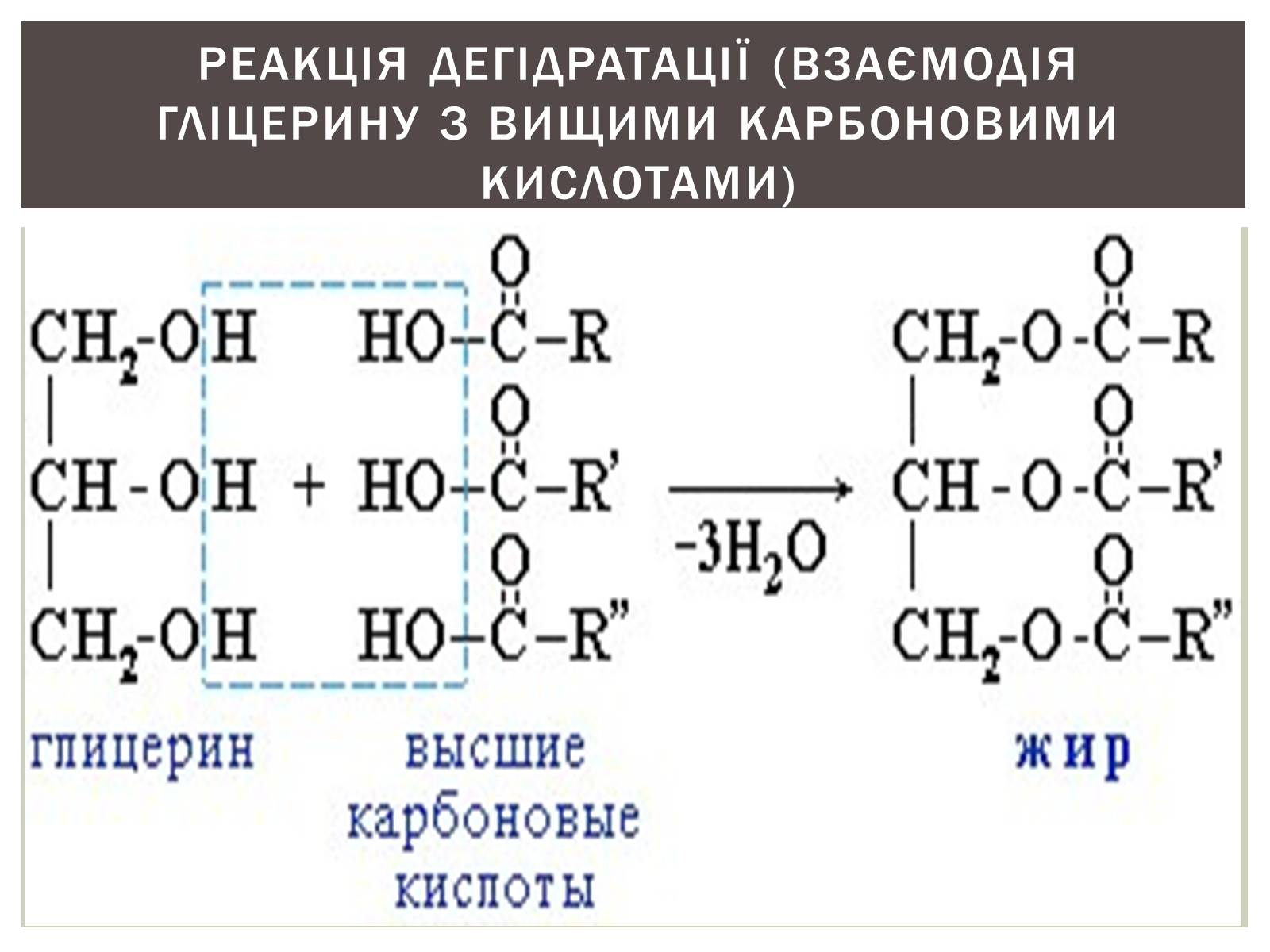 Презентація на тему «Жири» (варіант 9) - Слайд #14 Презентація на тему «Жири» (варіант 9) - Слайд #14