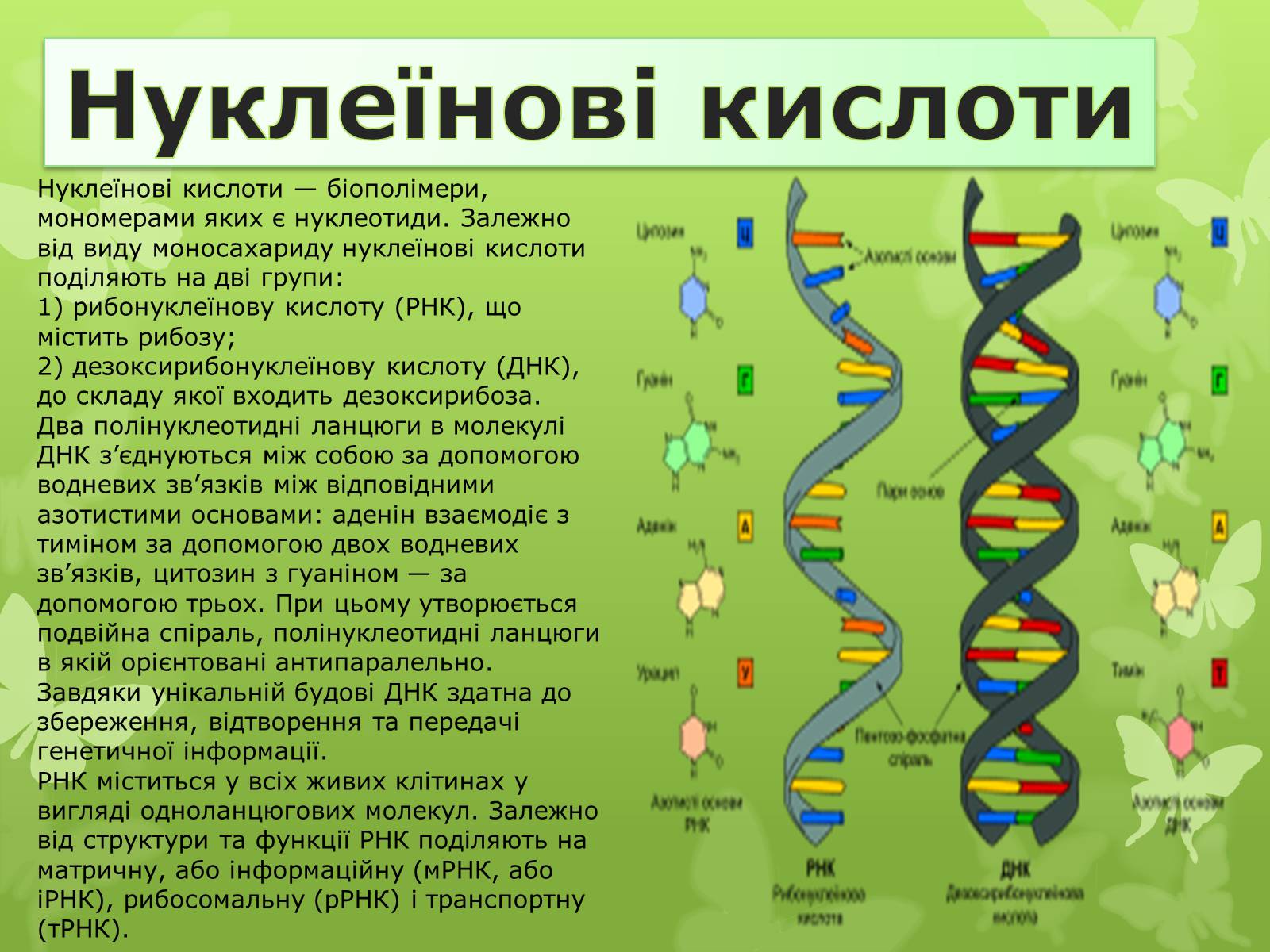 Презентація на тему «Природні І синтетичні Органічні речовини» (варіант 1) - Слайд #7 Презентація на тему «Природні І синтетичні Органічні речовини» (варіант 1) - Слайд #7