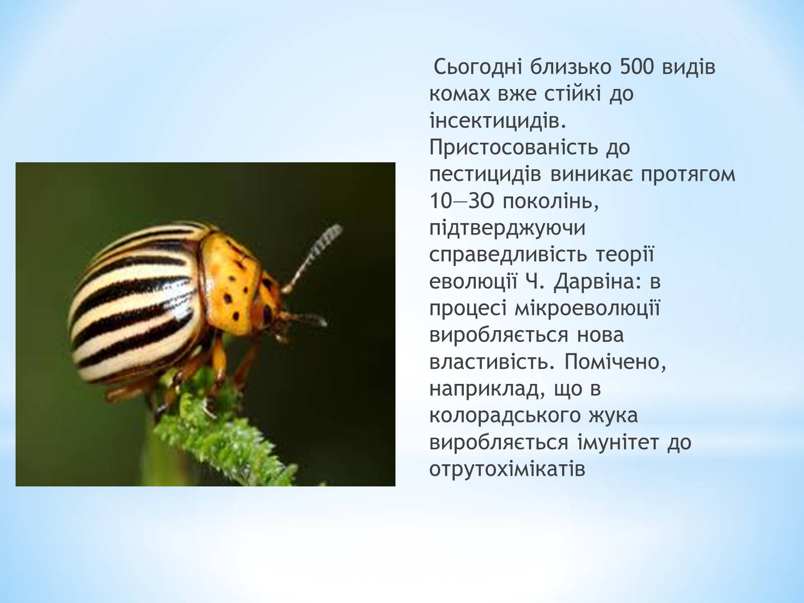 Презентація на тему «Хімічні мутагени» - Слайд #8 Презентація на тему «Хімічні мутагени» - Слайд #8