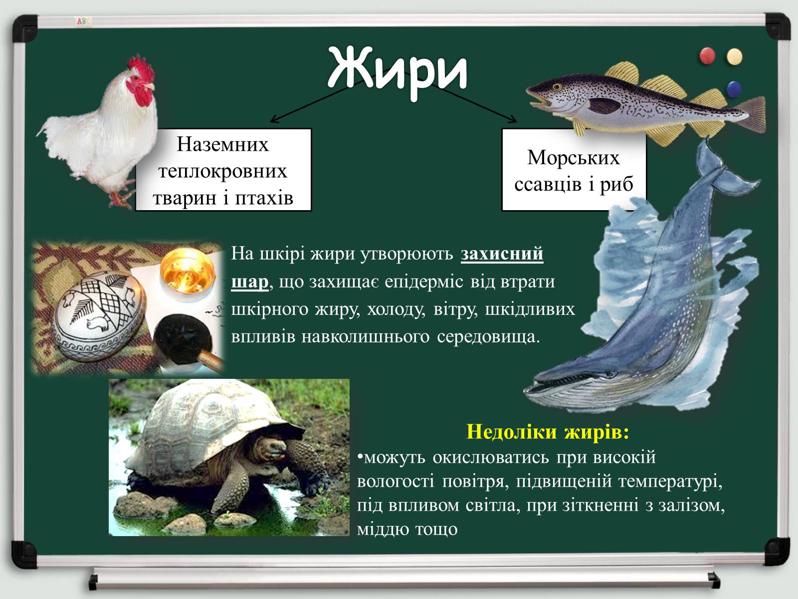 Презентація на тему «Косметичні засоби» (варіант 1) - Слайд #11 Презентація на тему «Косметичні засоби» (варіант 1) - Слайд #11