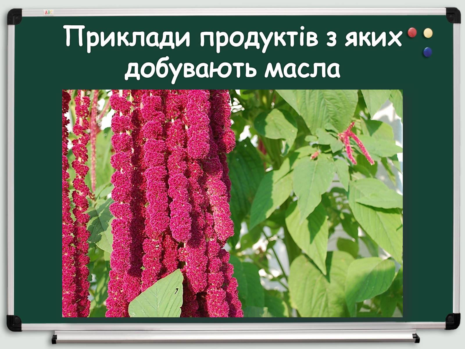 Презентація на тему «Косметичні засоби» (варіант 1) - Слайд #5 Презентація на тему «Косметичні засоби» (варіант 1) - Слайд #5