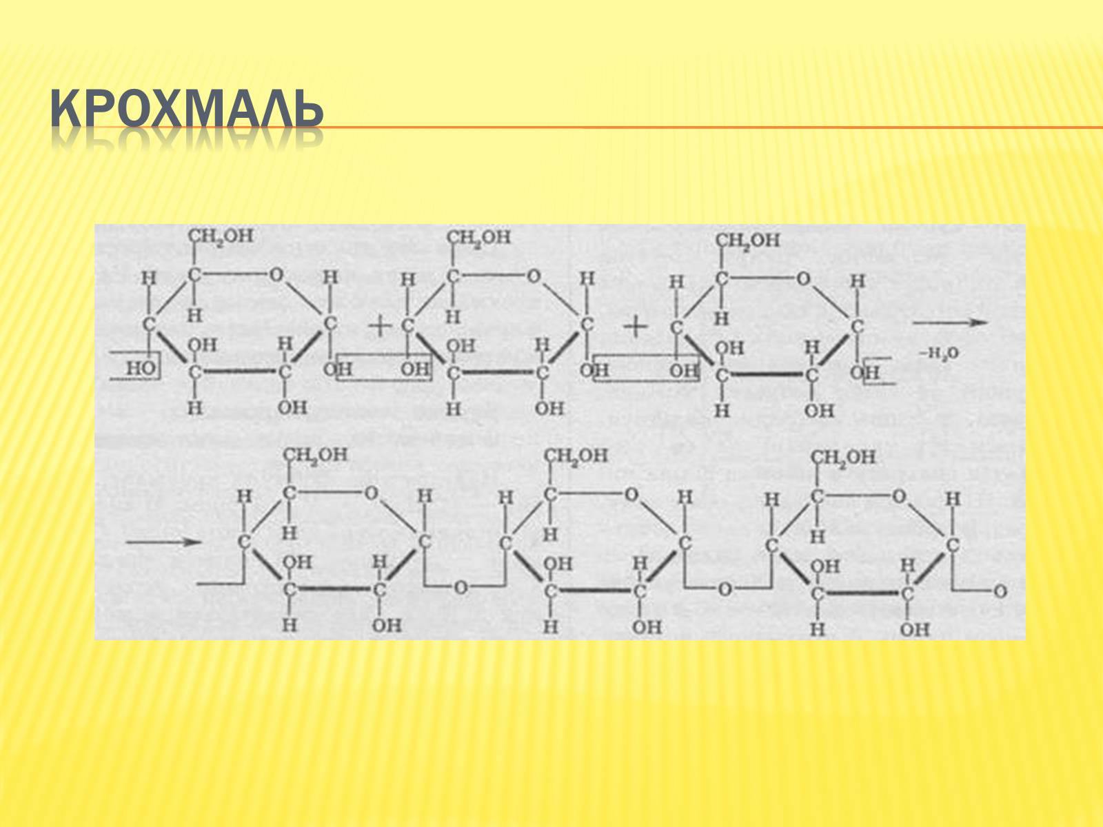 Презентація на тему «Крохмаль і целюлоза» - Слайд #10