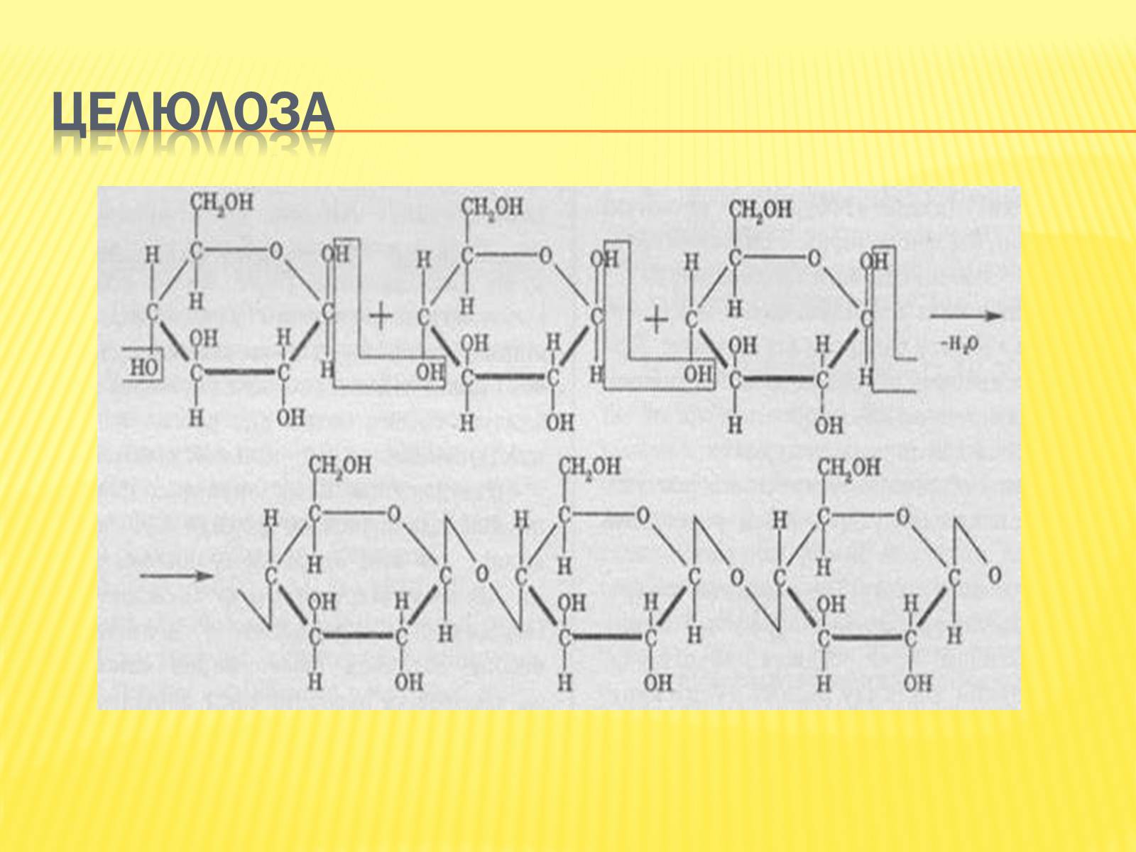 Презентація на тему «Крохмаль і целюлоза» - Слайд #11