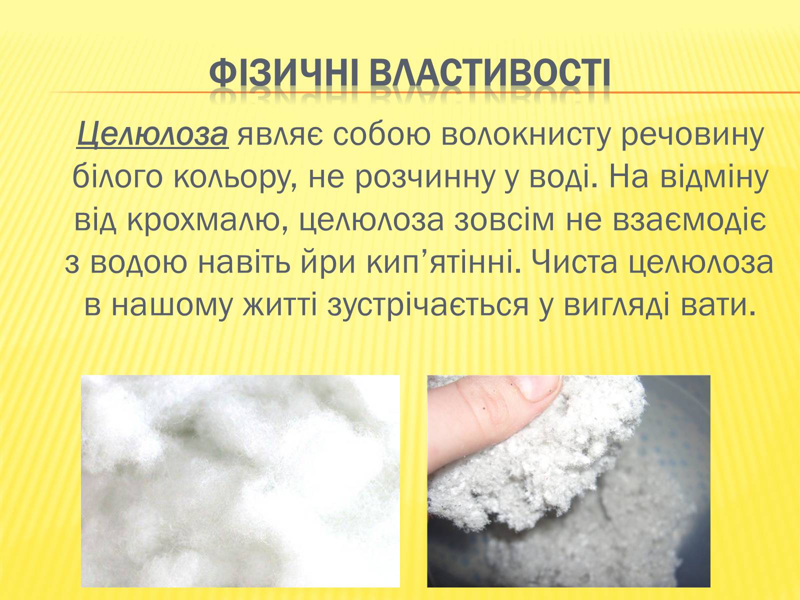 Презентація на тему «Крохмаль і целюлоза» - Слайд #3