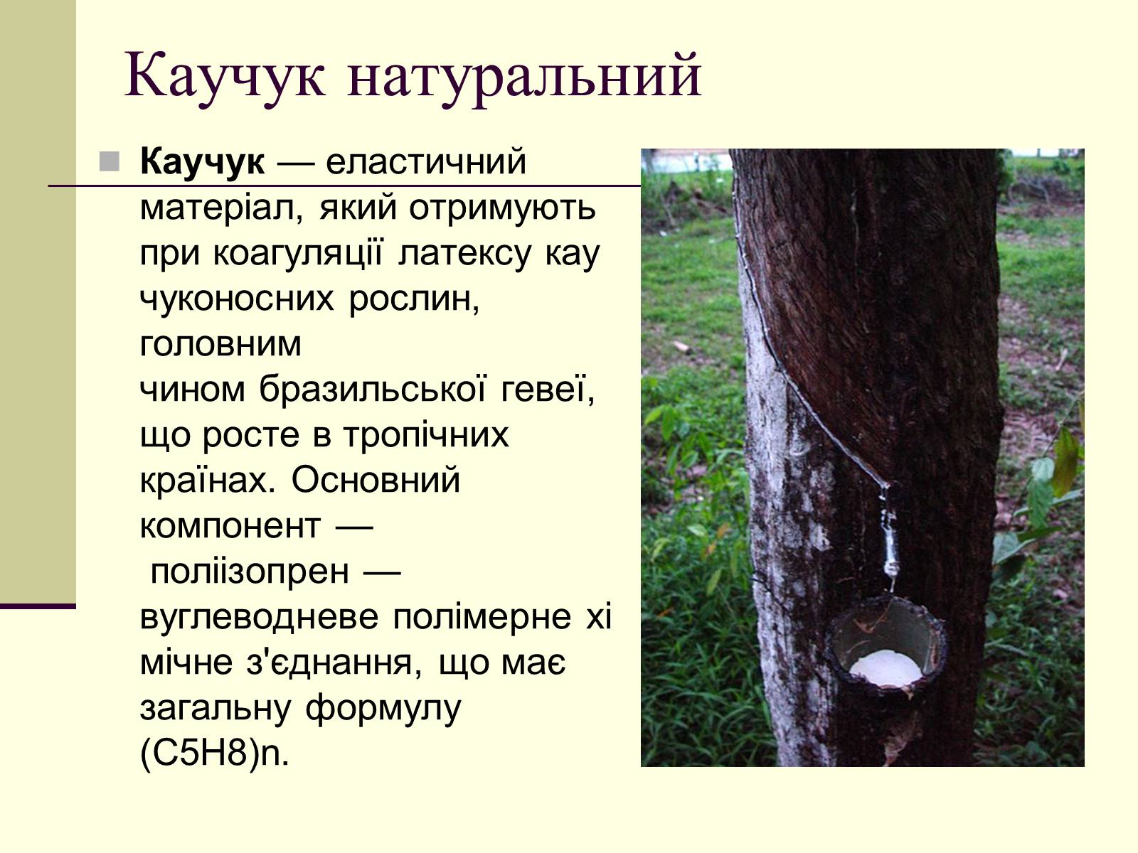 Презентація на тему «Каучук» (варіант 3) - Слайд #2 Презентація на тему «Каучук» (варіант 3) - Слайд #2
