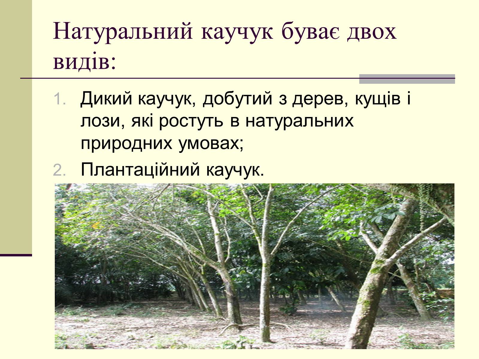 Презентація на тему «Каучук» (варіант 3) - Слайд #4 Презентація на тему «Каучук» (варіант 3) - Слайд #4