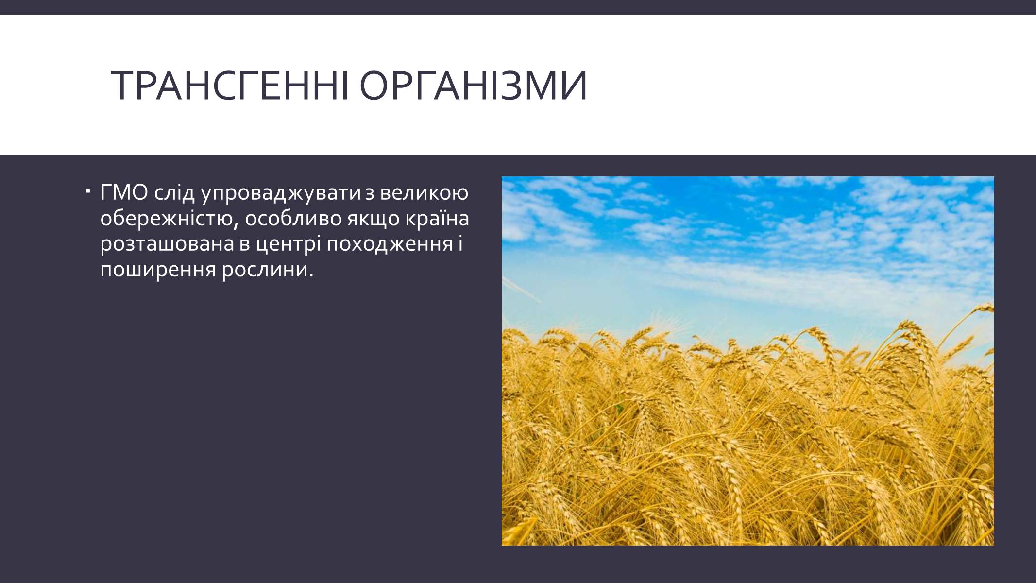 Презентація на тему «Химерні та трансгенні організми» (варіант 3) - Слайд #13 Презентація на тему «Химерні та трансгенні організми» (варіант 3) - Слайд #13