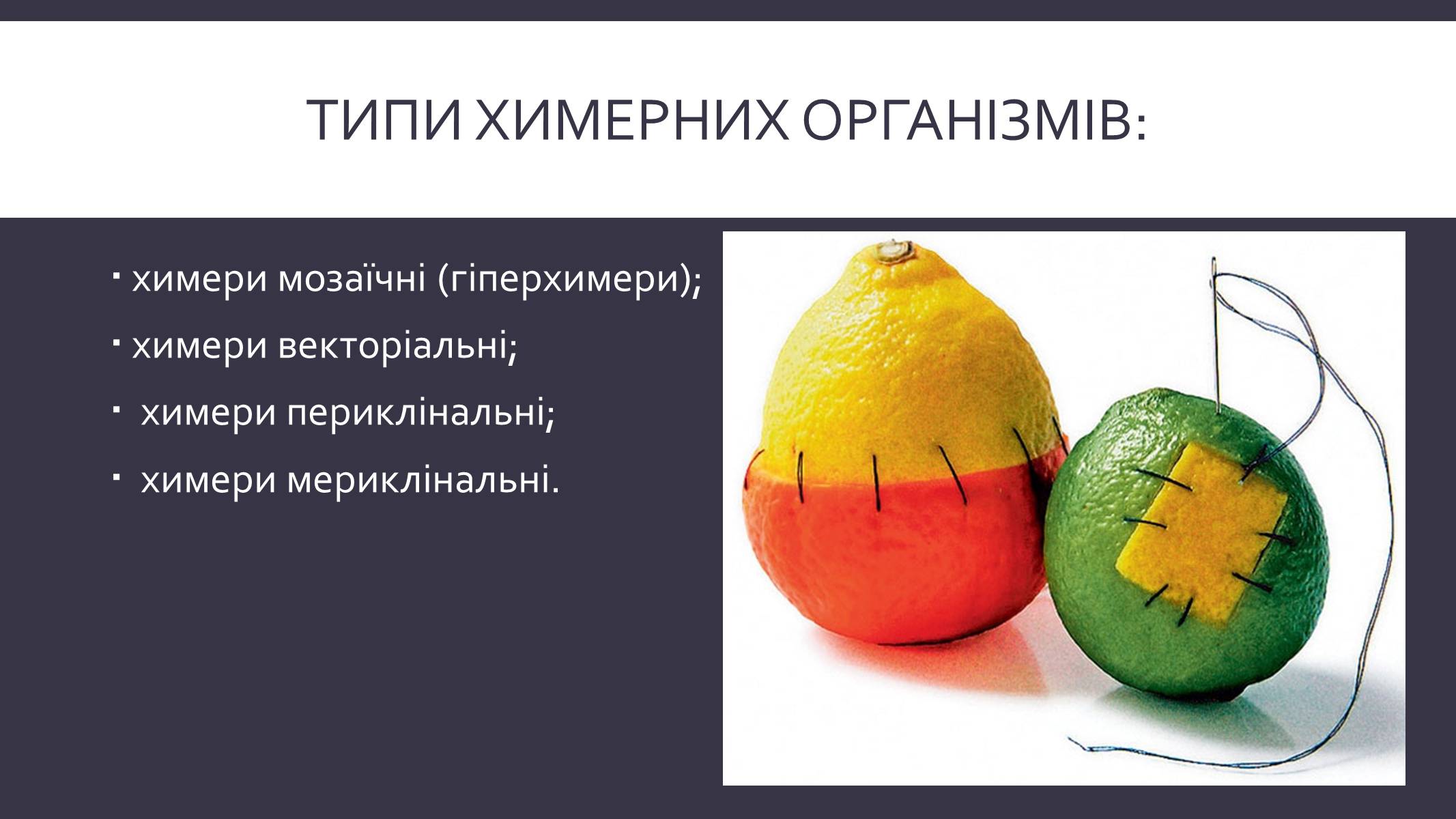 Презентація на тему «Химерні та трансгенні організми» (варіант 3) - Слайд #4 Презентація на тему «Химерні та трансгенні організми» (варіант 3) - Слайд #4