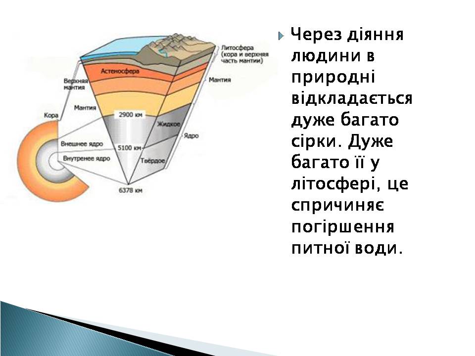 Презентація на тему «Елементний склад живих організмів» - Слайд #7 Презентація на тему «Елементний склад живих організмів» - Слайд #7