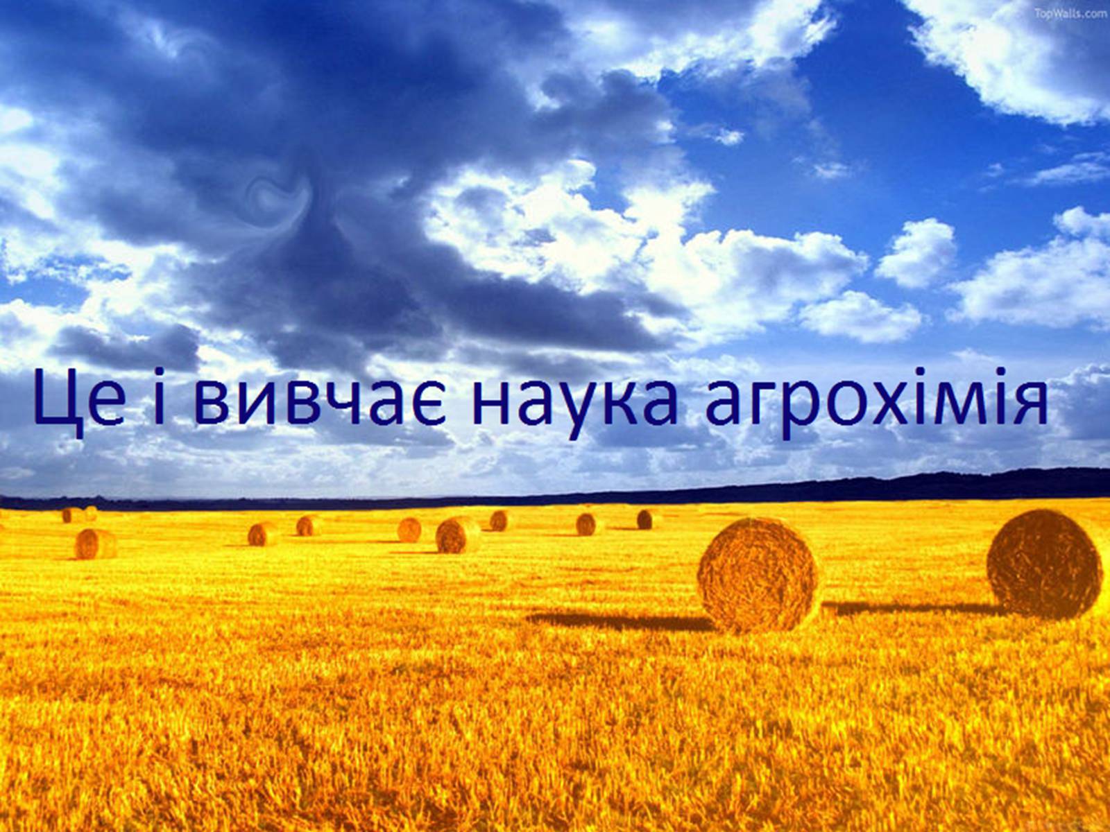 Презентація на тему «Раціональне використання добрив та проблеми охорони природи» - Слайд #10