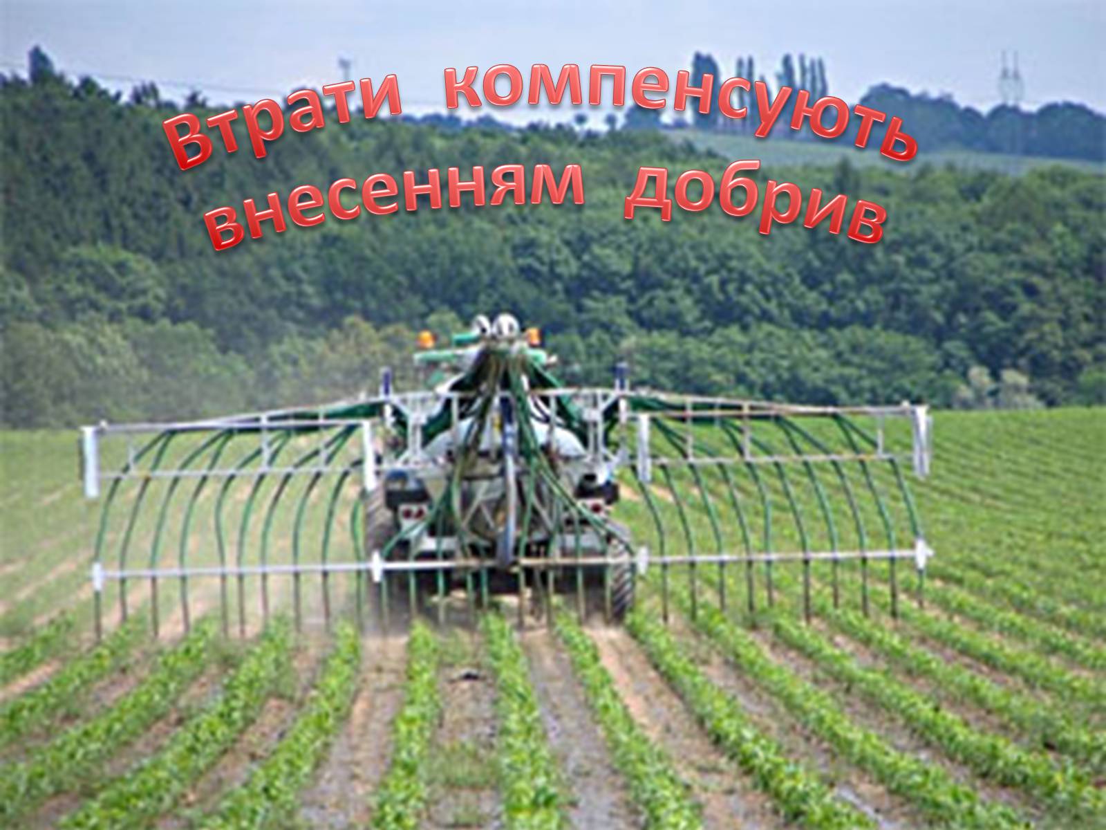 Презентація на тему «Раціональне використання добрив та проблеми охорони природи» - Слайд #5