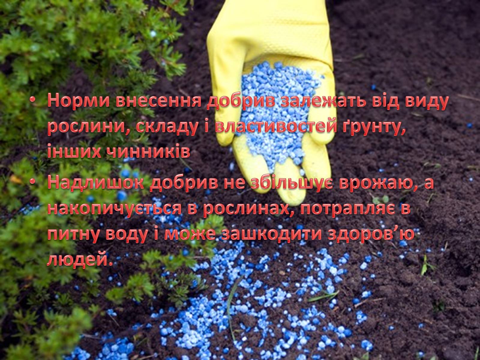 Презентація на тему «Раціональне використання добрив та проблеми охорони природи» - Слайд #7