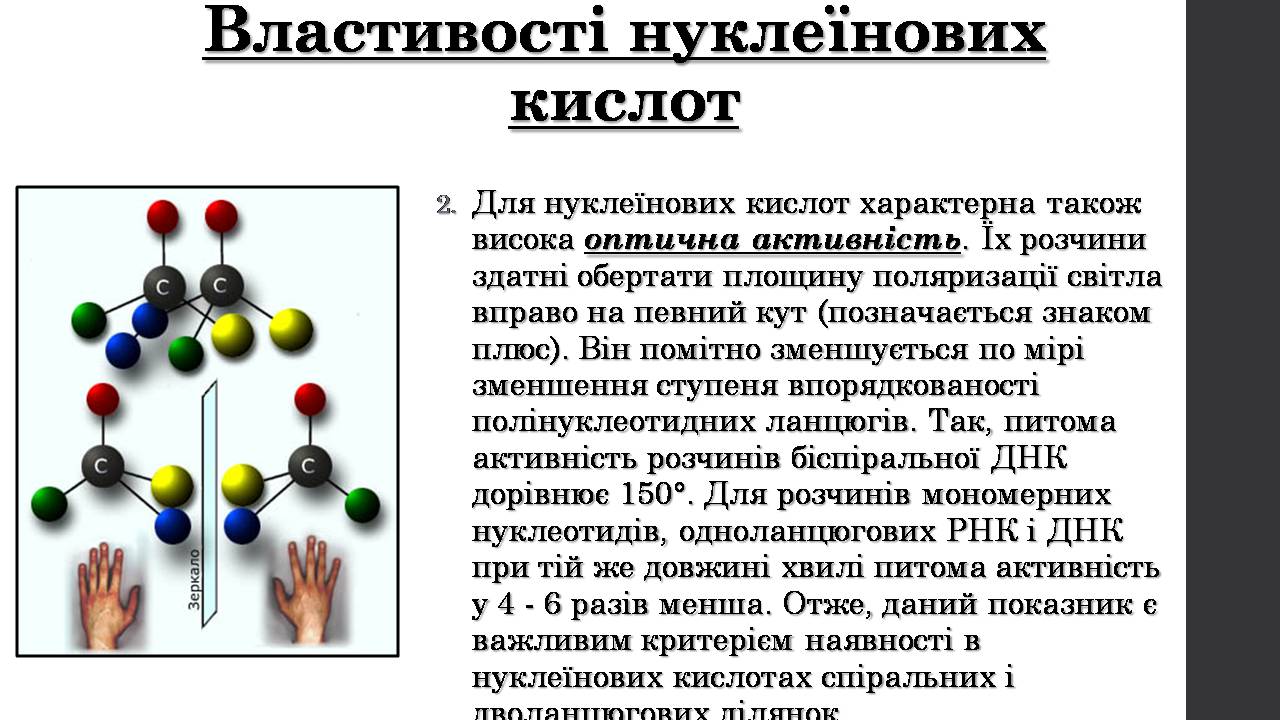 Презентація на тему «Нуклеїнові кислоти» (варіант 9) - Слайд #11 Презентація на тему «Нуклеїнові кислоти» (варіант 9) - Слайд #11
