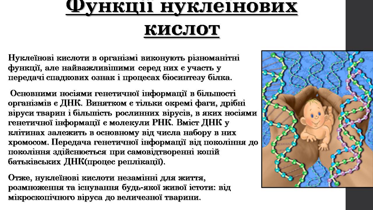 Презентація на тему «Нуклеїнові кислоти» (варіант 9) - Слайд #15 Презентація на тему «Нуклеїнові кислоти» (варіант 9) - Слайд #15
