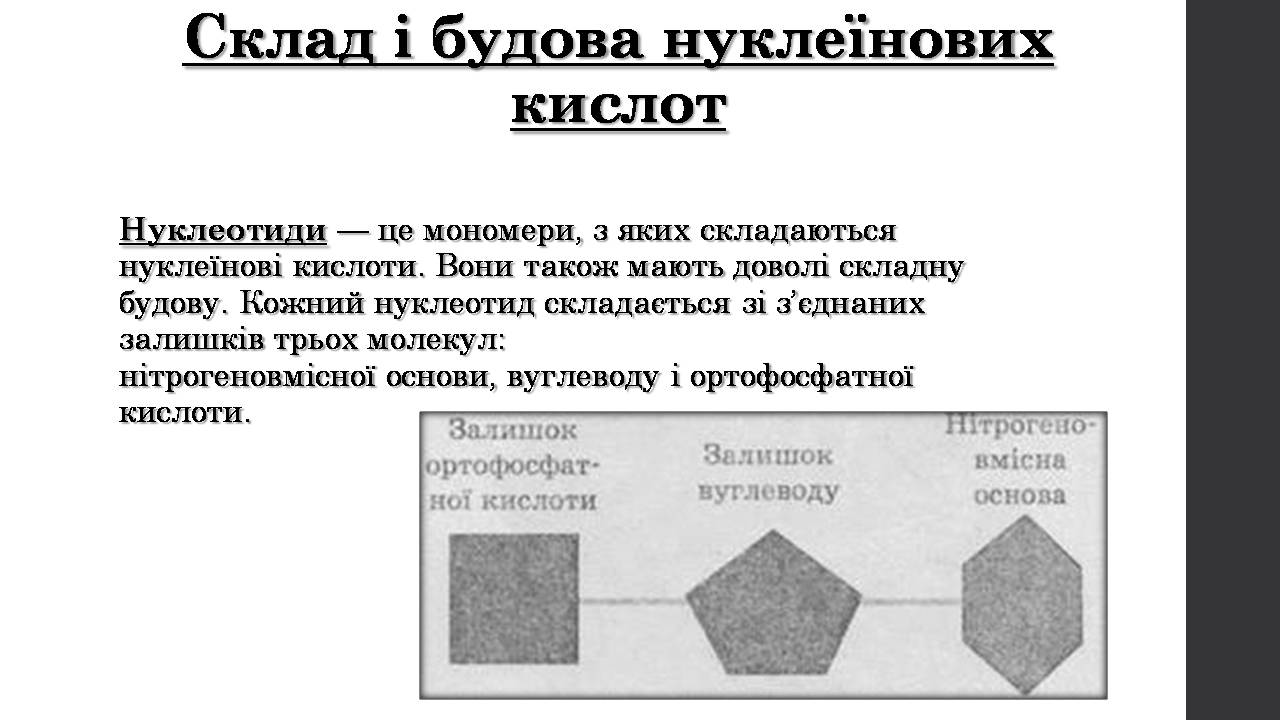Презентація на тему «Нуклеїнові кислоти» (варіант 9) - Слайд #6 Презентація на тему «Нуклеїнові кислоти» (варіант 9) - Слайд #6