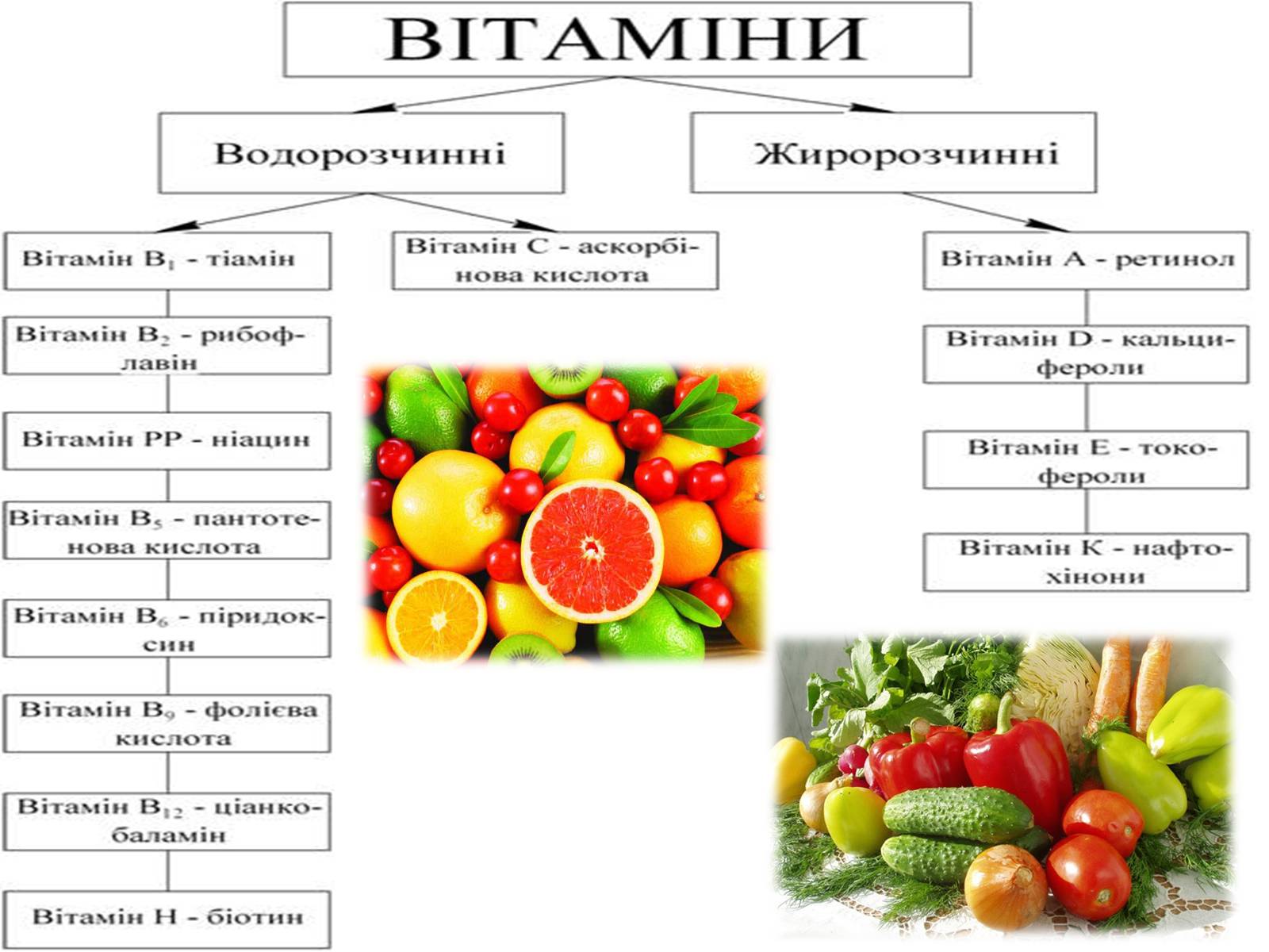 Презентація на тему «Жири, вуглеводи, білки, вітаміни як компоненти їжі» (варіант 1) - Слайд #38 Презентація на тему «Жири, вуглеводи, білки, вітаміни як компоненти їжі» (варіант 1) - Слайд #38