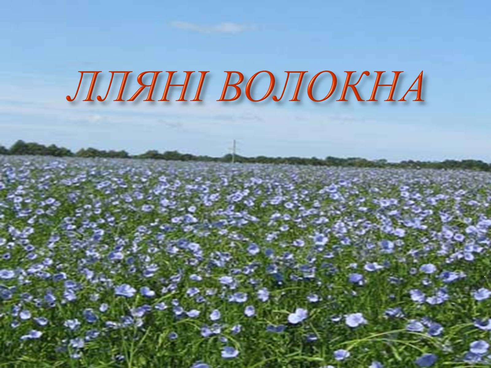 Презентація на тему «Природні волокна» (варіант 1) - Слайд #2 Презентація на тему «Природні волокна» (варіант 1) - Слайд #2